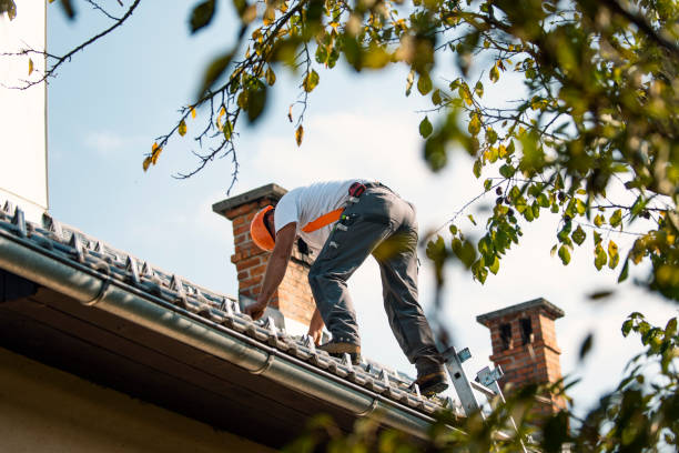 Best Gutter Installation and Roofing  in Nellis Af, NV