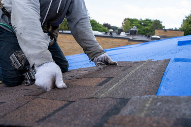 Quick and Trustworthy Emergency Roof Repair Services in Nellis Af, NV