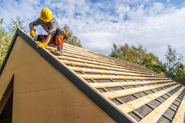 Best Metal Roofing Contractor  in Nellis Af, NV