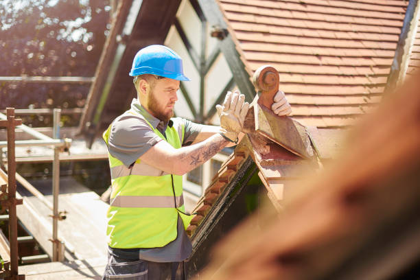 Best Roof Restoration Services  in Nellis Af, NV